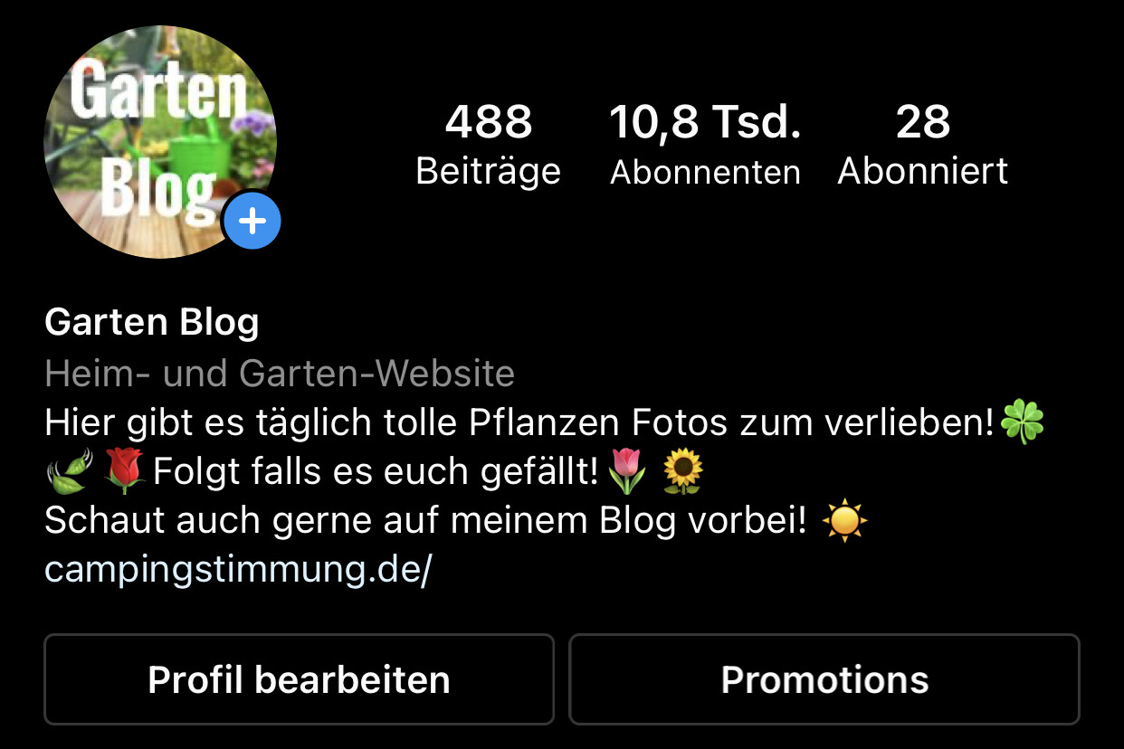 Mehr Instagram Follower bekommen