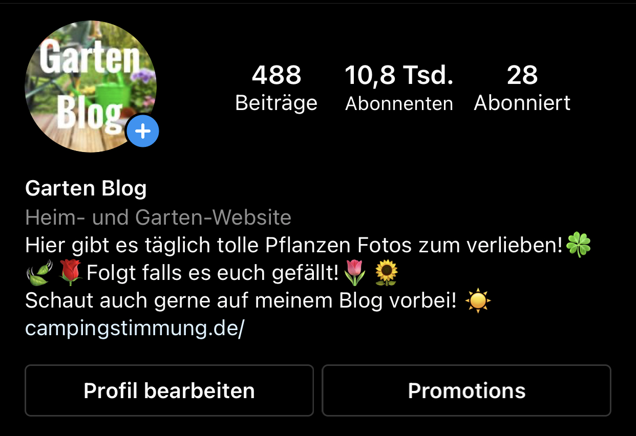 Mehr Instagram Follower bekommen